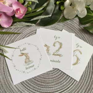 Mánaðarspjöld + gjafakassi